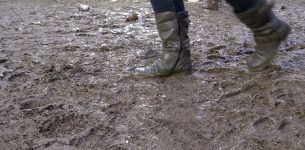 mud