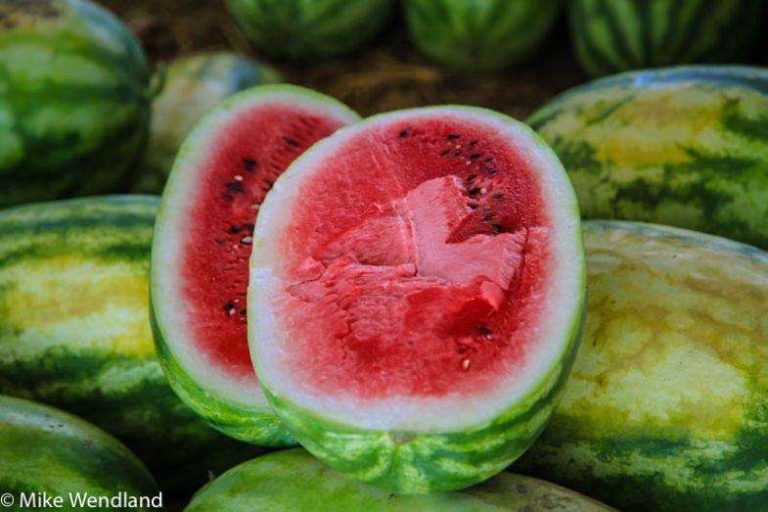 The Joys of Regional Produce: Georgia Peaches and Watermelon