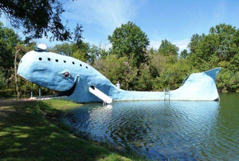 Off the Beaten Path: An Oklahoma Blue Whale