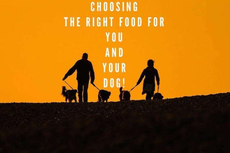 RV Podcast Episode 77: The right food for you and your dog