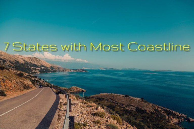 image for states with the most coastline
