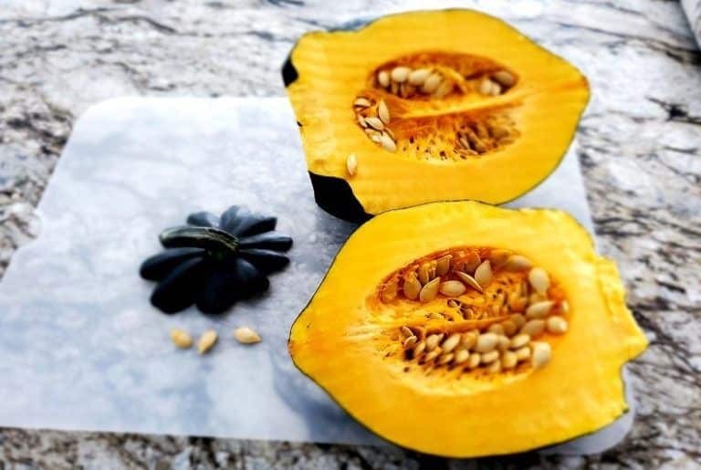 an image of acorn squash that we made by cooking with an RV Convection Oven