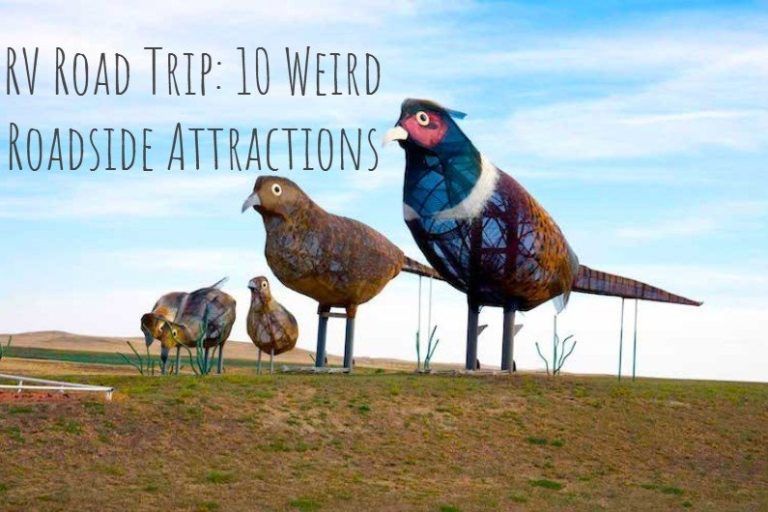 image about roadside attractions