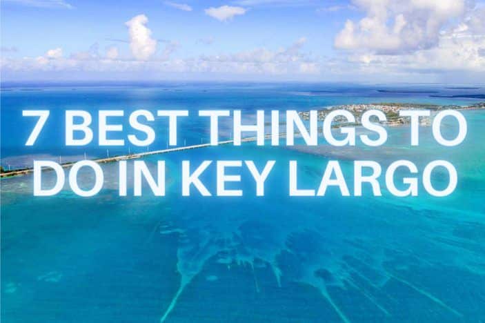 best things to do in key largo