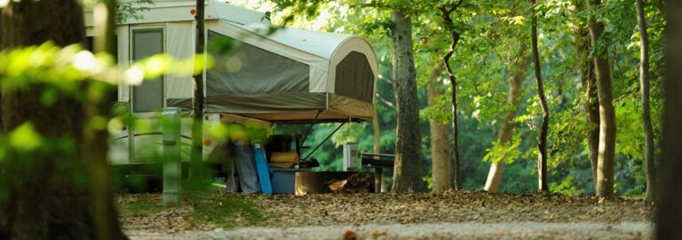 The 10 Best Machetes for Camping and Survival